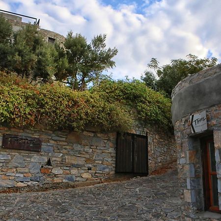 Pyrgos Traditional Village Agios Kirykos  Exterior photo